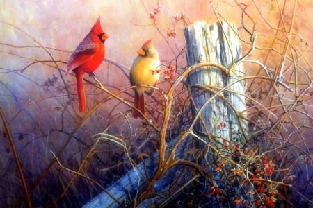 Scarlet Cardinals - cardinals, autumn, love four seasons, draw and paint, animals, paintings, birds