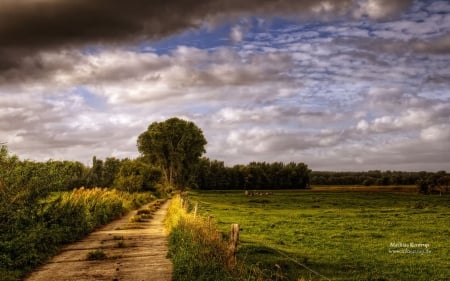 Marsch - abstract, photography, road, landscape, scene, meadow, path, ranch, field, country, way, wallpaper