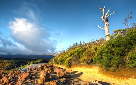 new zealand mountain road - clouds, trees, road, mountains, rocks