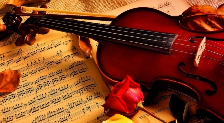 Beautiful - sheet, red, music, violin, rose