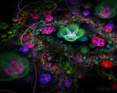 Abstract flowers - flower, purple, pink, black, abstract, texture, luminos, fractal, green