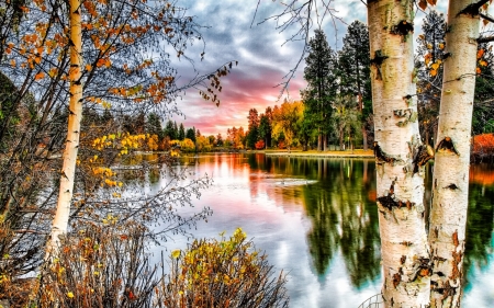 Autumn Lake - sky, autumn, lake, trees, nature, fall, reflection, forest, dark, birch