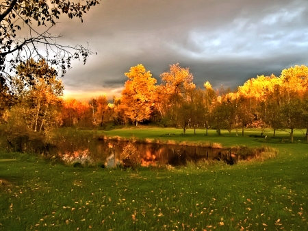 Autumn Lake - nature, lake, autumn, trees