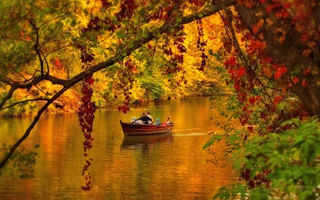 Forest River - nature, autumn, trees, forest, river, boat