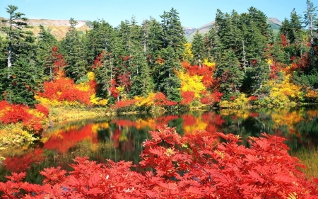 Autumn Lake - lake, forest, reflection, trees, nature, autumn