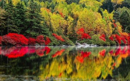 Reflection Lake - lake, forest, reflection, trees, nature, autumn