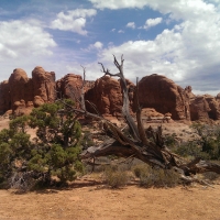 Moab, Utah