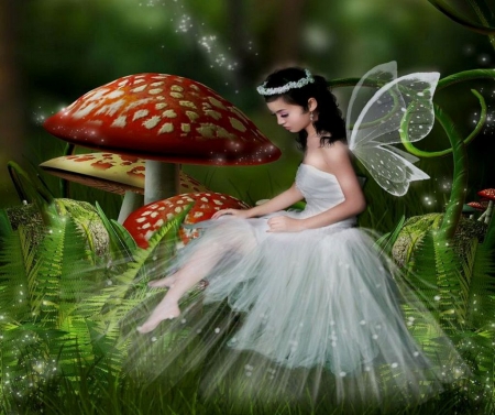 Fairy