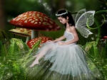 Fairy