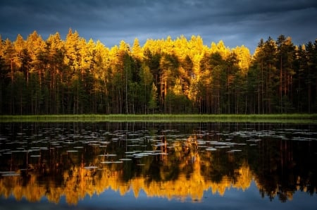 Reflection Lake - trees, nature, autumn, lake, reflection