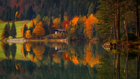 Autumn Colors Reflection - forest, fall, water, beautiful, cottage, lake, reflection, trees, autumn, colorful