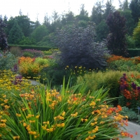 Rosemoor hot garden