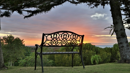 wonderful sunset - trees, sun, cabo rojo, bench, sunset, grass, puerto rico