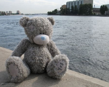 Teddy - a teddy bear, lake, blue, wather, sits, teddy