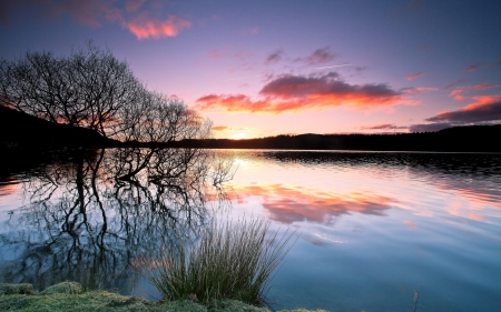 Lake Sunset - clouds, sunset, nature, treees, lake, reflection