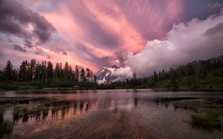 Shallow Water - lake, forest, reflection, clouds, nature