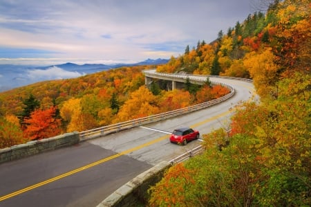 Autumn road - fall, car, road, autumn