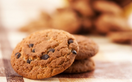 chocolate chip cookies - cookies, chocolate, chip, biscuit