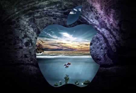 Beautiful apple HD Wallpaper nature