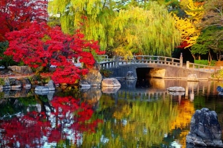 Early auitumn in park - autumn, lake, trees, peaceful, park, willow, serenity, fall, reflection, calmness, tranquil, beautiful, bridge, pond