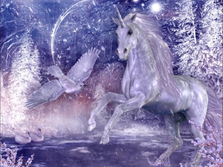 Unicorn - white, wings, friendship, stars