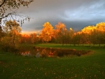 Autumn Landscape