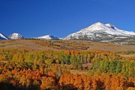 Hogan Mountain, Missouri - trees, autumn, colors, forest, fall season