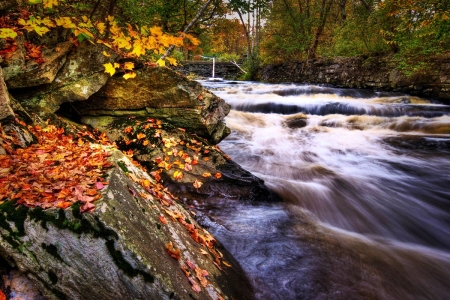 Autumn River - trees, water, leaves, colors, stones