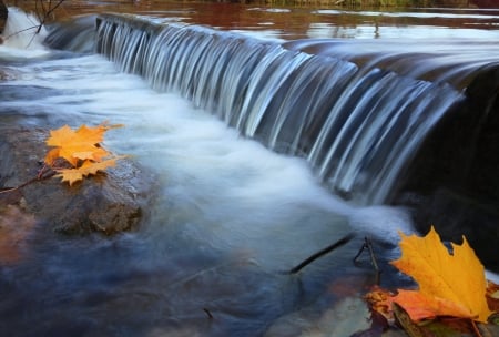 Waterfalls - river, stream, maple, flowing