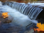 Waterfalls