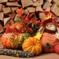 Fall Season