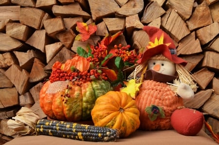 Fall Season - autumn, pumpkin, puppet, leaves, corn cob