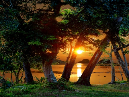 Beautiful Sunset - nature, lake, trees, reflection, sunset