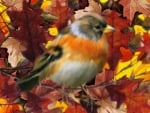 Autumn Bird