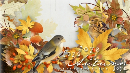 Joys of Autumn - berries, fall, birds, autumn, October, harvest, September, leaves