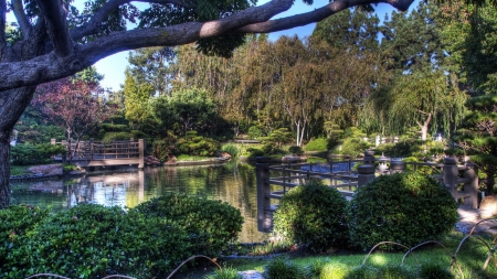 The River - nature, bridge, trees, river