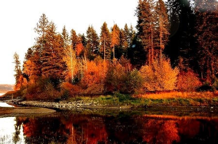 Autumn Scenery - nature, lake, autunm, trees