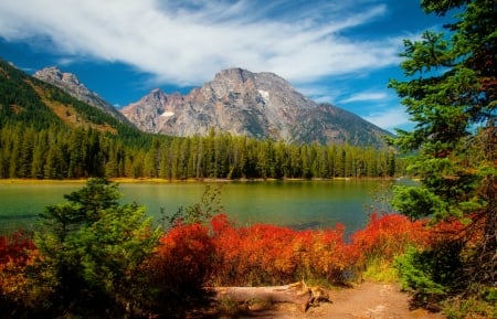 Early autumn in the mountain - trees, beautiful, mountain, fall, shore, autumn, cliffs, serenity, lake, sky, rocks