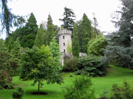 The secret garden - green, garden, trees, torret