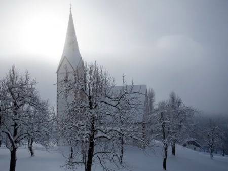 The white church - white, winter, trees, snow