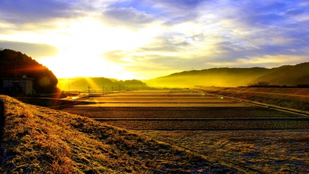 rays of dawn hdr - hills, rays, fields, hdr, sunrise