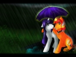 Romance under the rain