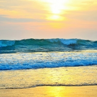 Beach Waves