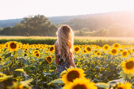 Sunflower Girl - sunlight, sunflowers, beautiful, photography, girl, beauty, sunflower, woman, field