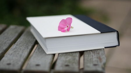 Book - table, wallpaper, book, flower