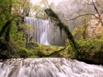 Forest Waterfall