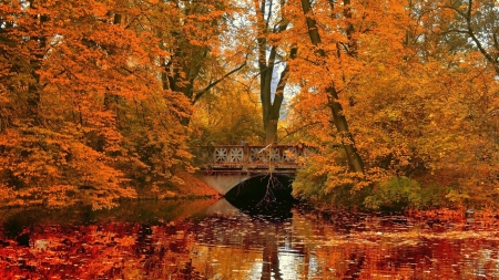 Golden Autumn - trees, nature, autumn, lake, forest