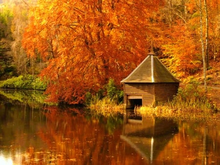 Autumn pond - lake, autumn, trees, foliage, serenity, fall, reflection, calmness, beautiful, colors, pond