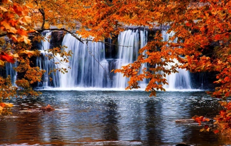 Autumn waterfall - branches, autumn, fall, trees, beautiful, leaves, waterfall