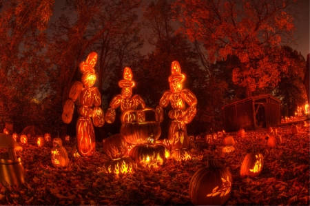 Halloween Night - shapes, pumpkins, autumn, forest, light